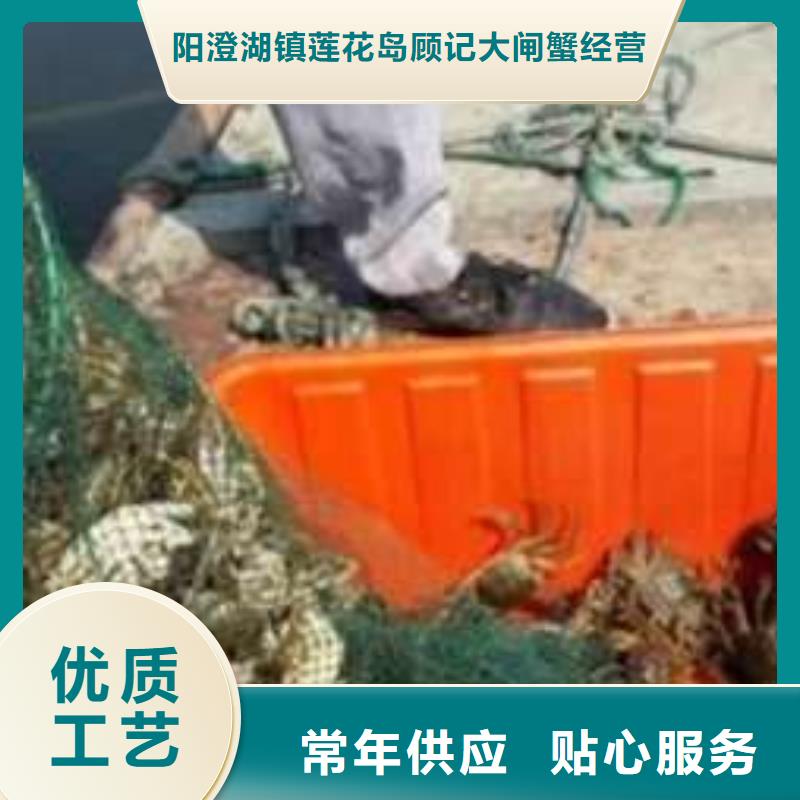 阳澄湖大闸蟹视频-阳澄湖大闸蟹-陕西省汉中市南郑|汉台|宝鸡|铜川|西安|延安|安康|榆林|咸阳该地生产商