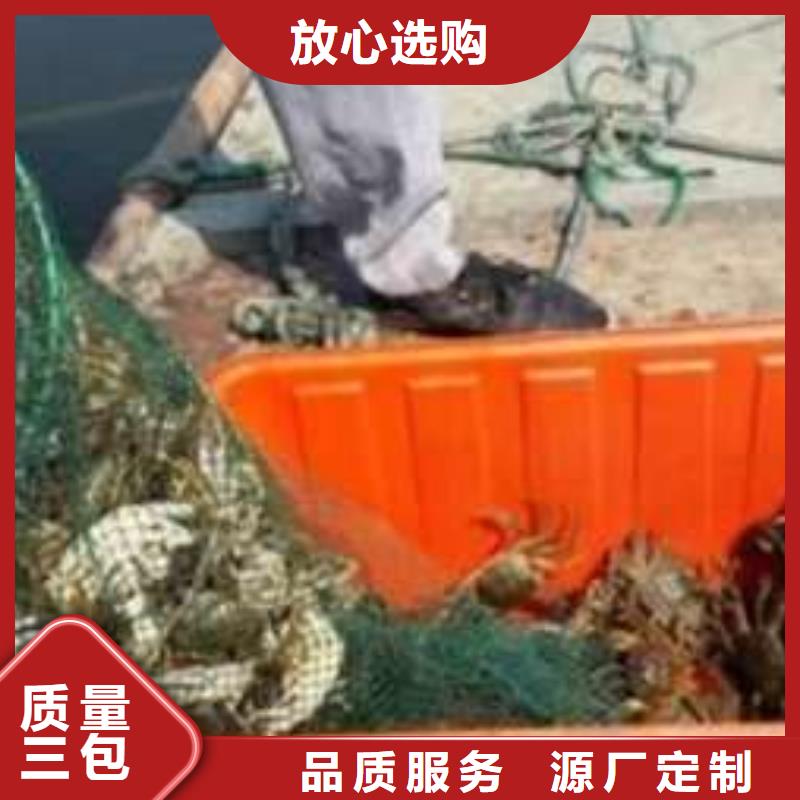 阳澄湖大闸蟹视频-阳澄湖大闸蟹_广东省广州市市场覆盖黄埔|增城|佛山|河源|惠州|茂名|中山|韶关等