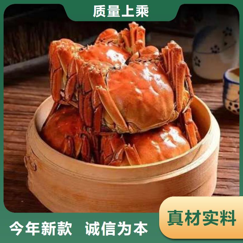 蟹阳澄湖大闸蟹哪个品牌正宗一个起售