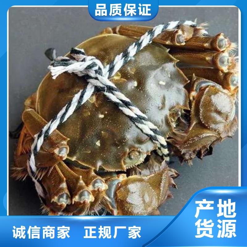 蟹近的阳澄湖大闸蟹销售点多种优势放心选择