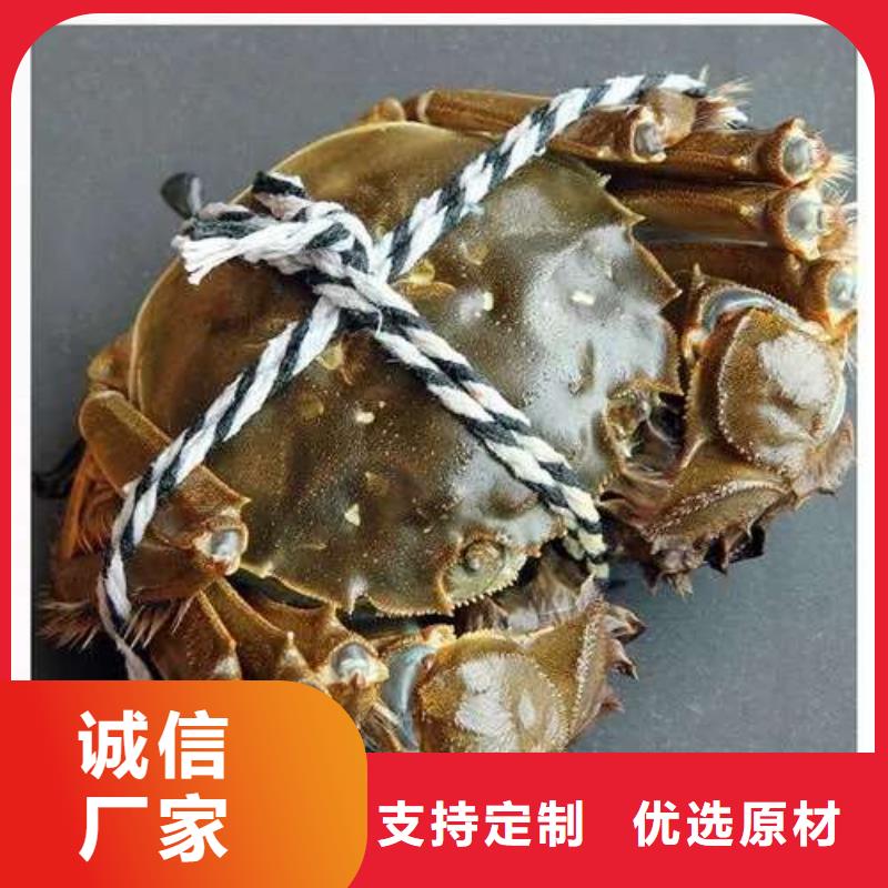 蟹哪里有卖阳澄湖大闸蟹生产经验丰富