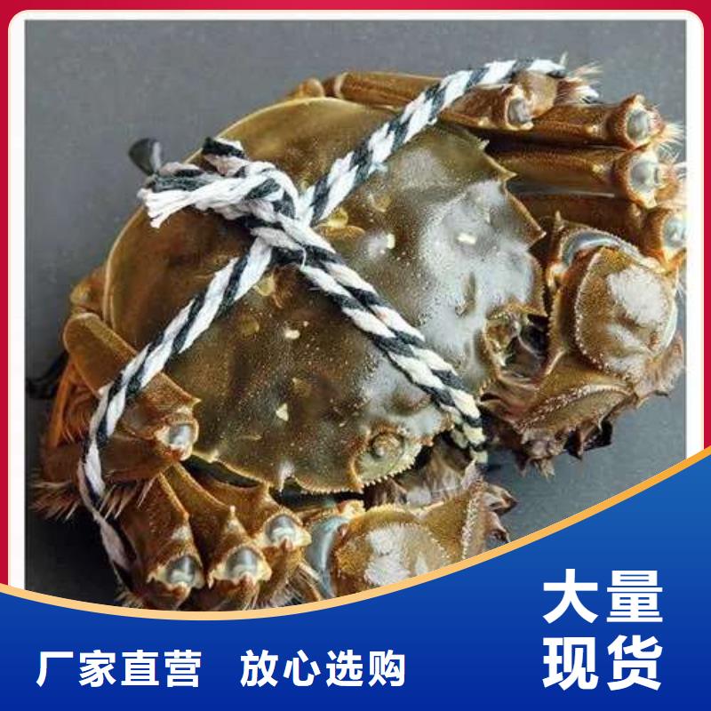 螃蟹-【阳澄湖大闸蟹】源头实体厂商-市场覆盖|新华|叶县|三门峡|漯河|洛阳|许昌|驻马店-三玖采购网