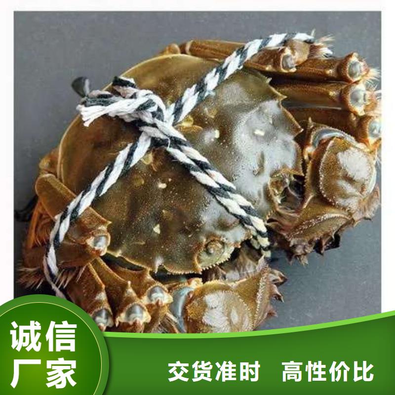蟹,阳澄湖大闸蟹中秋送礼批发价格