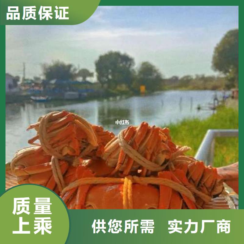 蟹,阳澄湖大闸蟹多少重量厂家型号齐全