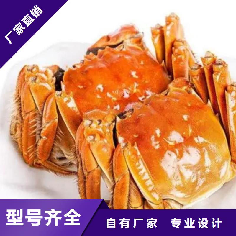 蟹阳澄湖大闸蟹几月份吃品质可靠