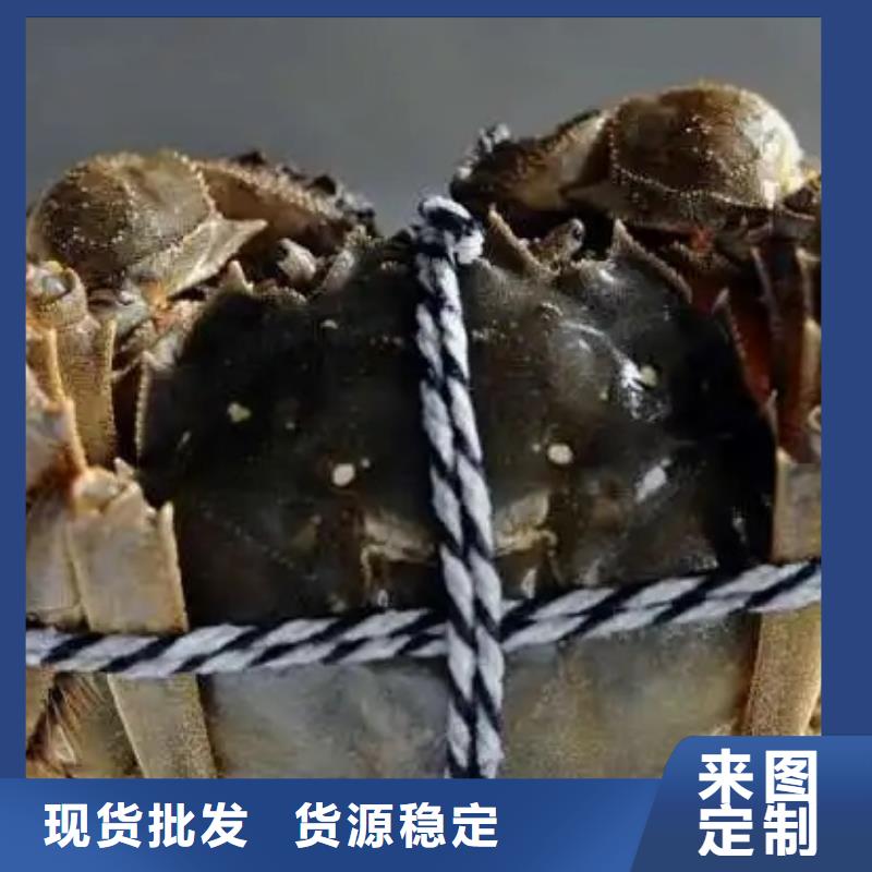 【 螃蟹-阳澄湖大闸蟹订购品质优选】 阳澄湖镇岛顾记大闸蟹经营部(平凉市分公司)