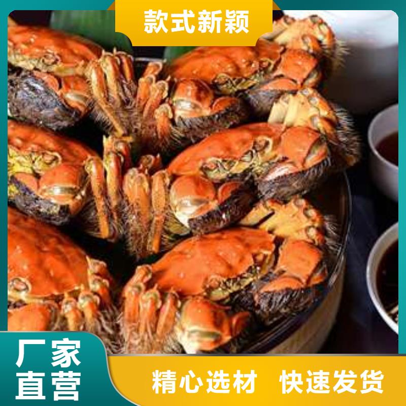 蟹阳澄湖大闸蟹中秋送礼价格低