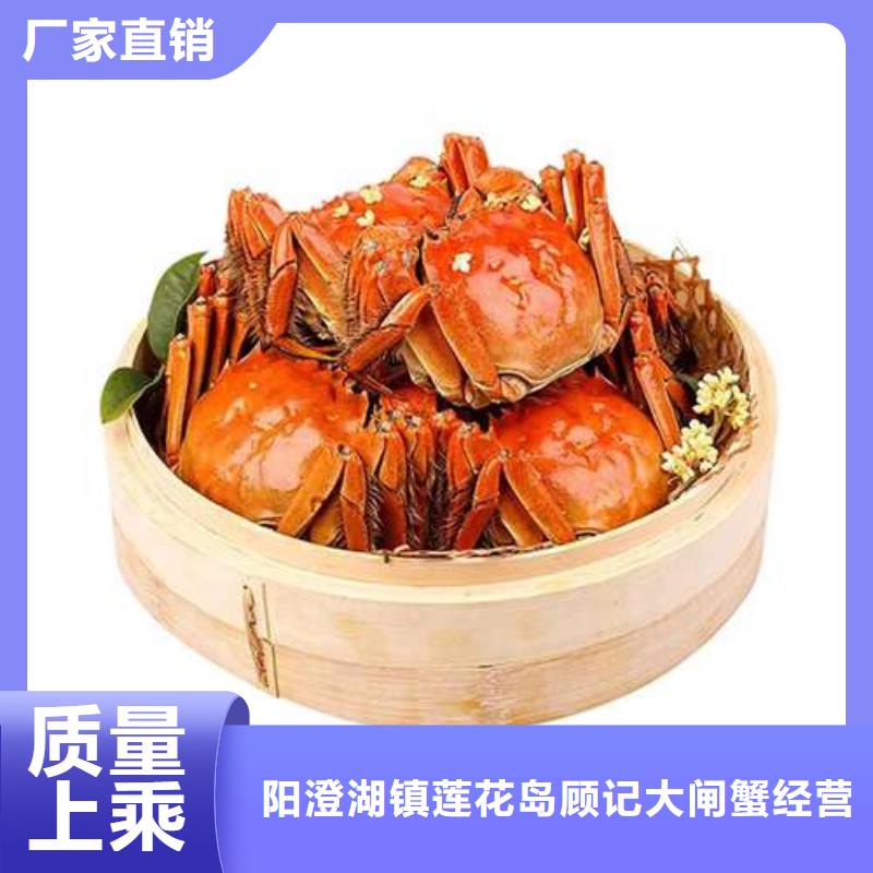 蟹阳澄湖大闸蟹多少重量购买的是放心