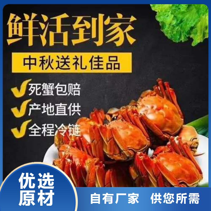 蟹阳澄湖大闸蟹到哪里买信誉至上