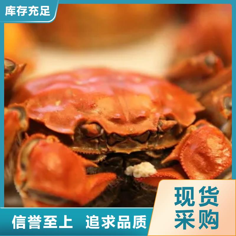 蟹_阳澄湖大闸蟹几两吃大量现货