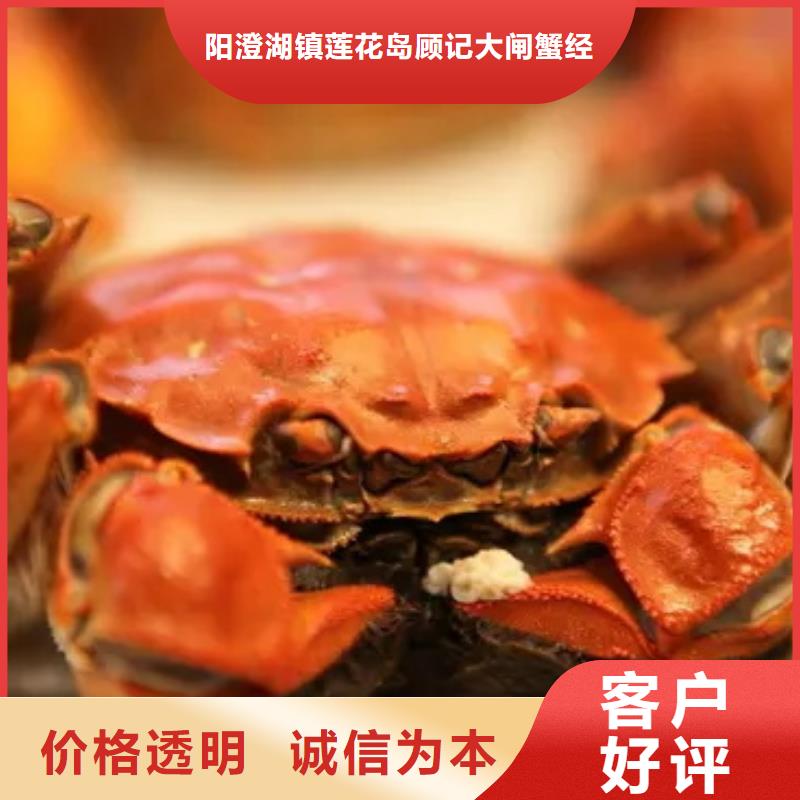 蟹,阳澄湖大闸蟹批发店批发商
