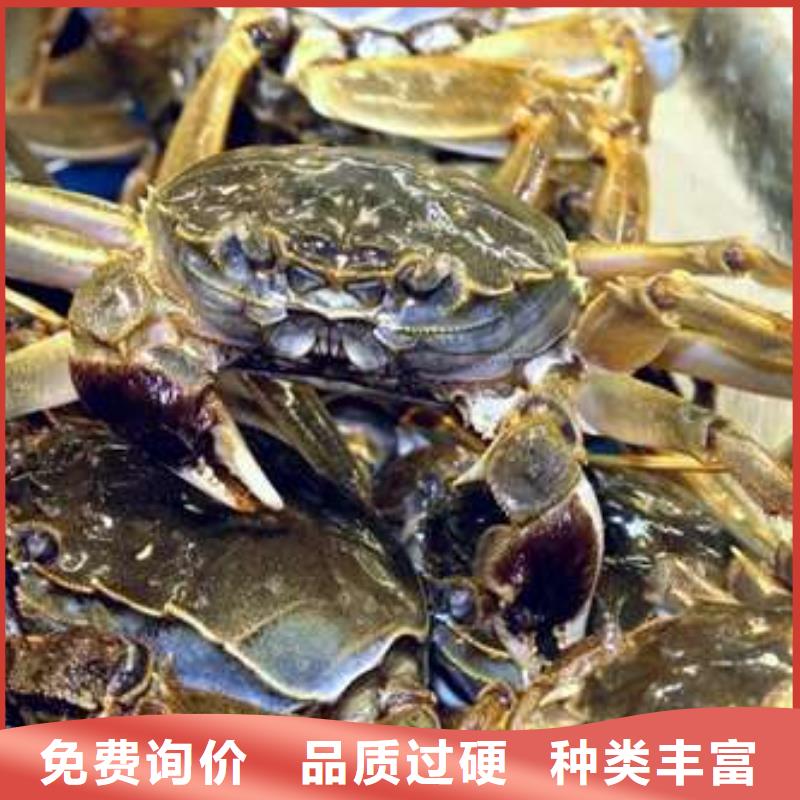 蟹阳澄湖大闸蟹到哪里买匠心品质