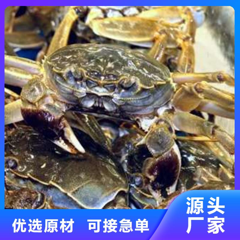 蟹阳澄湖大闸蟹中秋送礼优选好材铸造好品质