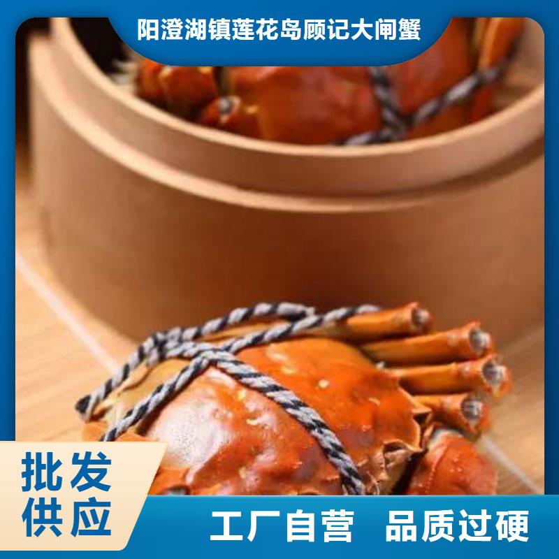 蟹阳澄湖大闸蟹多少重量不断创新