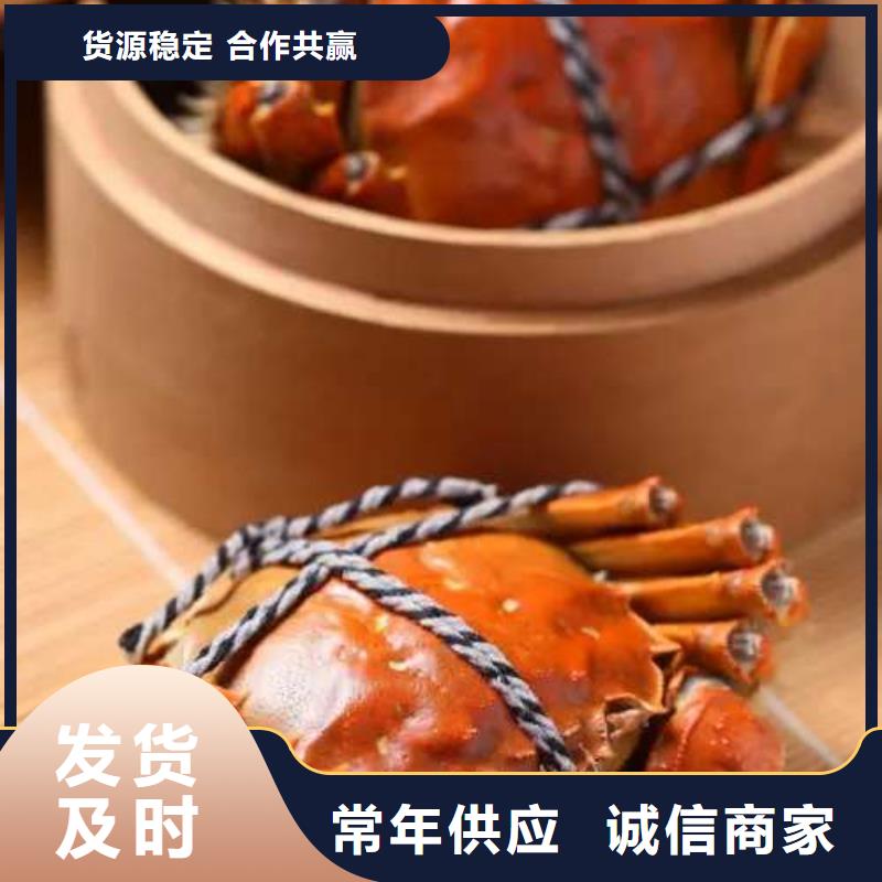 蟹哪里有卖阳澄湖大闸蟹贴心服务