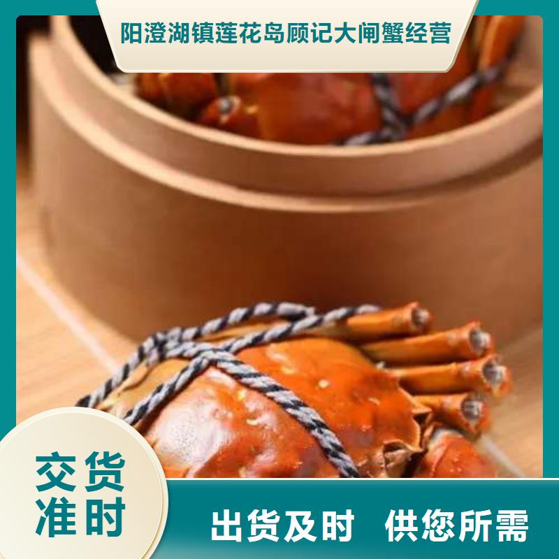 蟹阳澄湖大闸蟹几月份吃打造行业品质