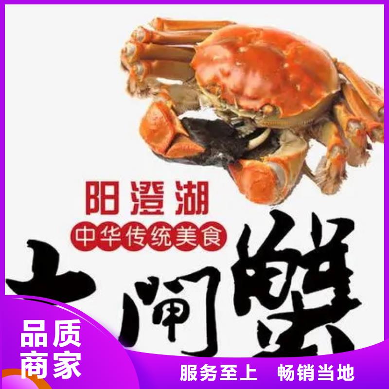 阳澄湖大闸蟹视频-山西省晋中市顾记阳澄湖大闸蟹可服务区域榆社|昔阳|太原|朔州|晋城|大同等