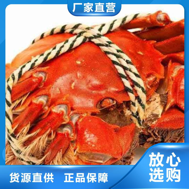 蟹阳澄湖大闸蟹多少重量品质保证