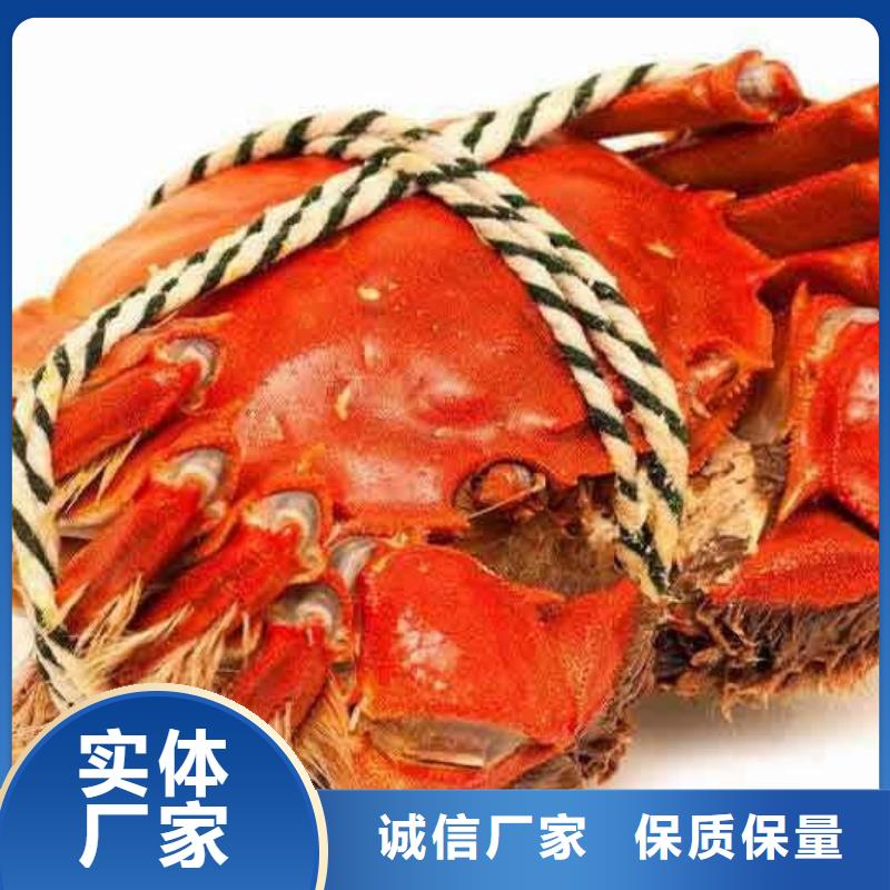 蟹阳澄湖大闸蟹网购常年出售