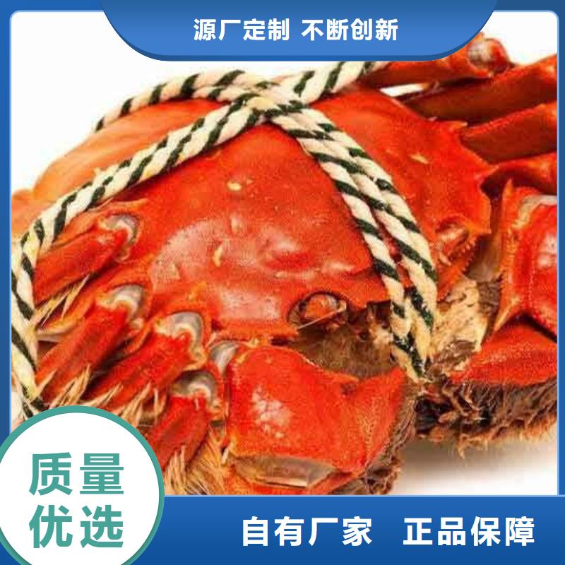 阳澄湖大闸蟹视频-阳澄湖大闸蟹-陕西省汉中市南郑|汉台|宝鸡|铜川|西安|延安|安康|榆林|咸阳该地生产商