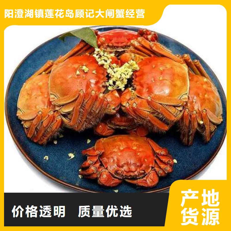 蟹-阳澄湖大闸蟹到哪里买免费询价
