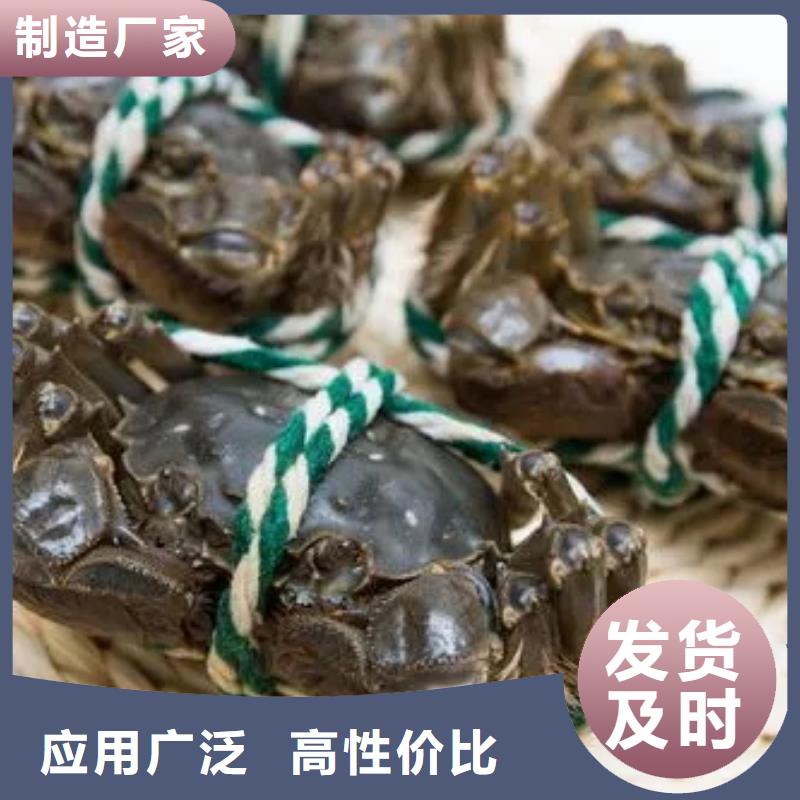蟹阳澄湖大闸蟹几月份吃产地货源