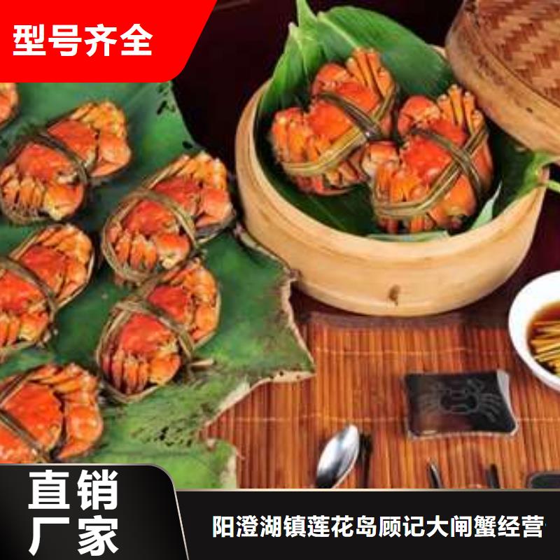 阳澄湖大闸蟹视频-内蒙古包头市|赤峰|呼伦贝尔|呼和浩特|通辽|鄂尔多斯阳澄湖大闸蟹-顾记