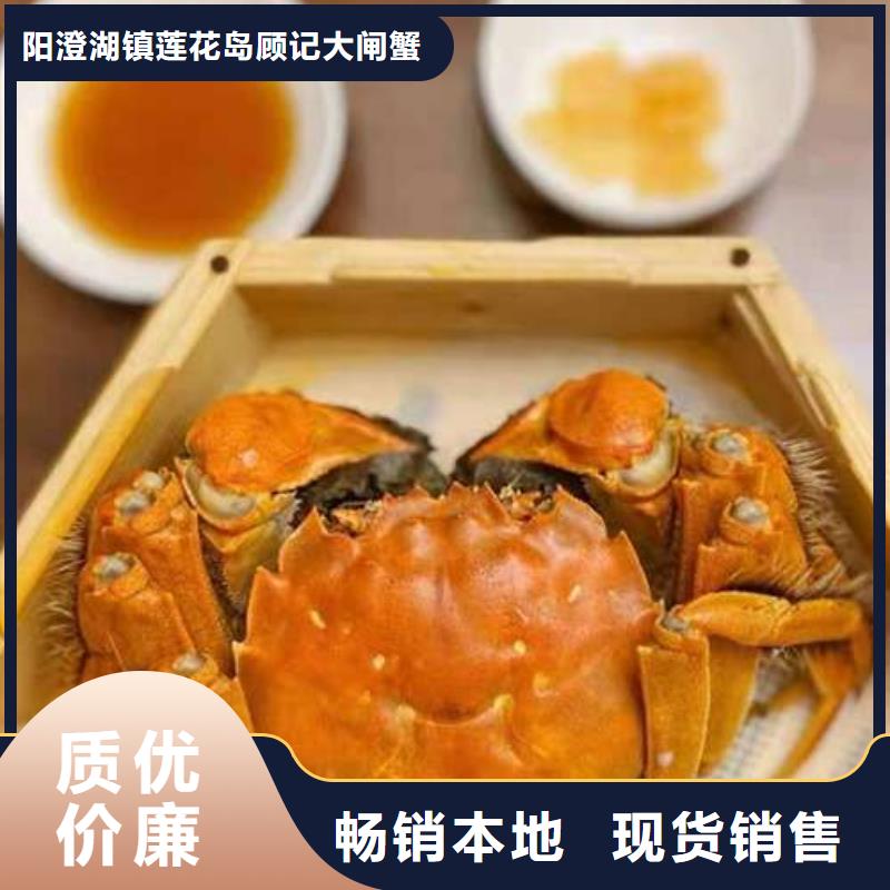 阳澄湖大闸蟹视频-阳澄湖大闸蟹(顾记)覆盖地域内蒙古鄂尔多斯市乌兰察布|包头|呼伦贝尔|锡林郭勒|通辽