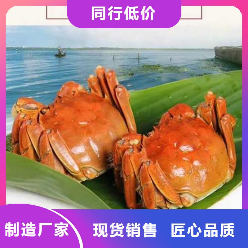 蟹_阳澄湖大闸蟹网购原料层层筛选