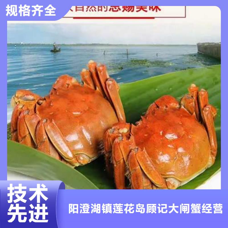 蟹阳澄湖大闸蟹几月份吃追求细节品质