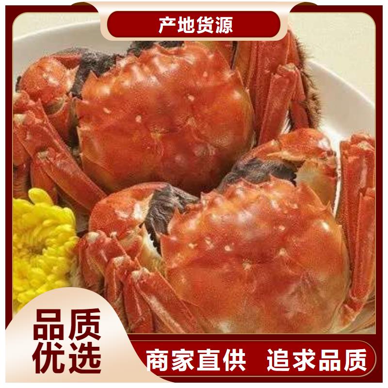 蟹,阳澄湖大闸蟹到哪里买常年出售