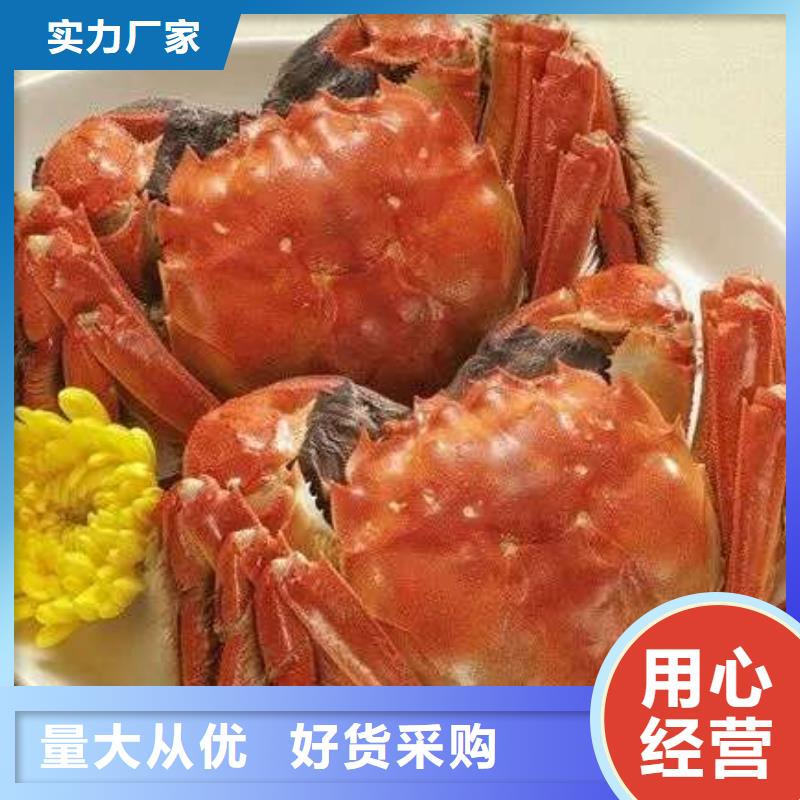 蟹阳澄湖大闸蟹到哪里买厂家货源