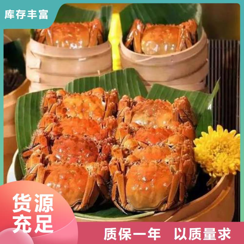 螃蟹-【阳澄湖大闸蟹】源头实体厂商-市场覆盖|新华|叶县|三门峡|漯河|洛阳|许昌|驻马店-三玖采购网