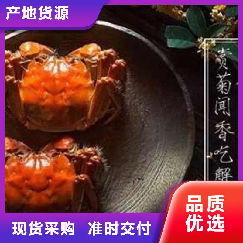 蟹阳澄湖大闸蟹零售店厂家直销大量现货