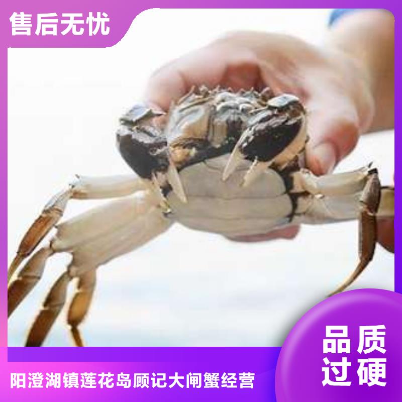 蟹阳澄湖大闸蟹几两吃订制批发