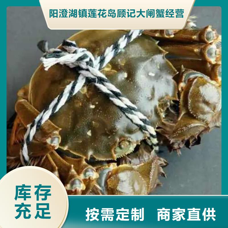 【 螃蟹-阳澄湖大闸蟹订购品质优选】 阳澄湖镇岛顾记大闸蟹经营部(平凉市分公司)