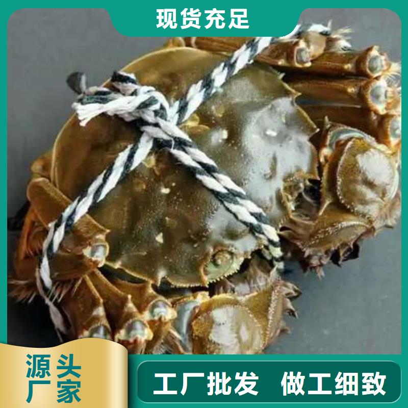 蟹阳澄湖大闸蟹几月份吃出货快
