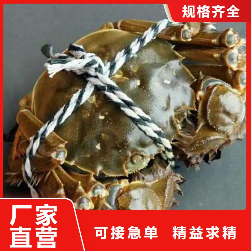 蟹近的阳澄湖大闸蟹销售点的图文介绍