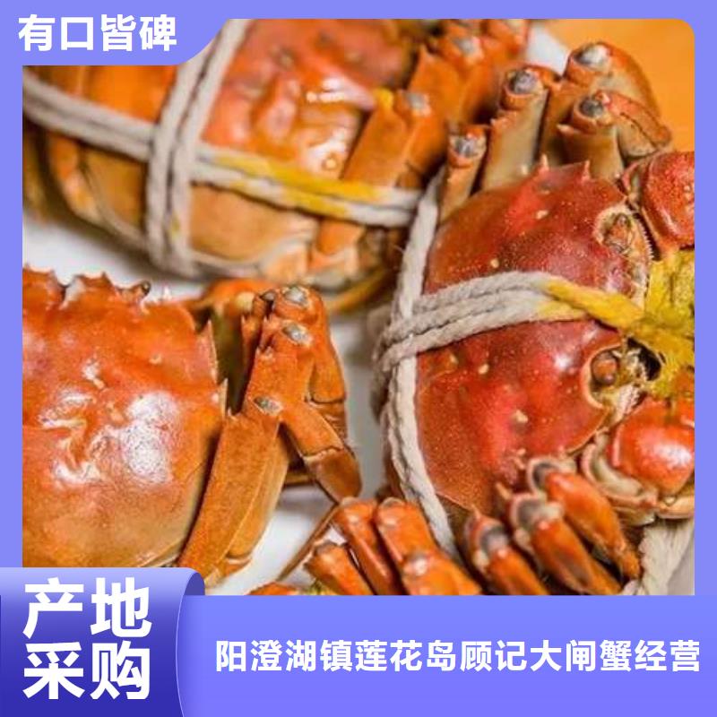 蟹阳澄湖大闸蟹哪个品牌正宗匠心品质