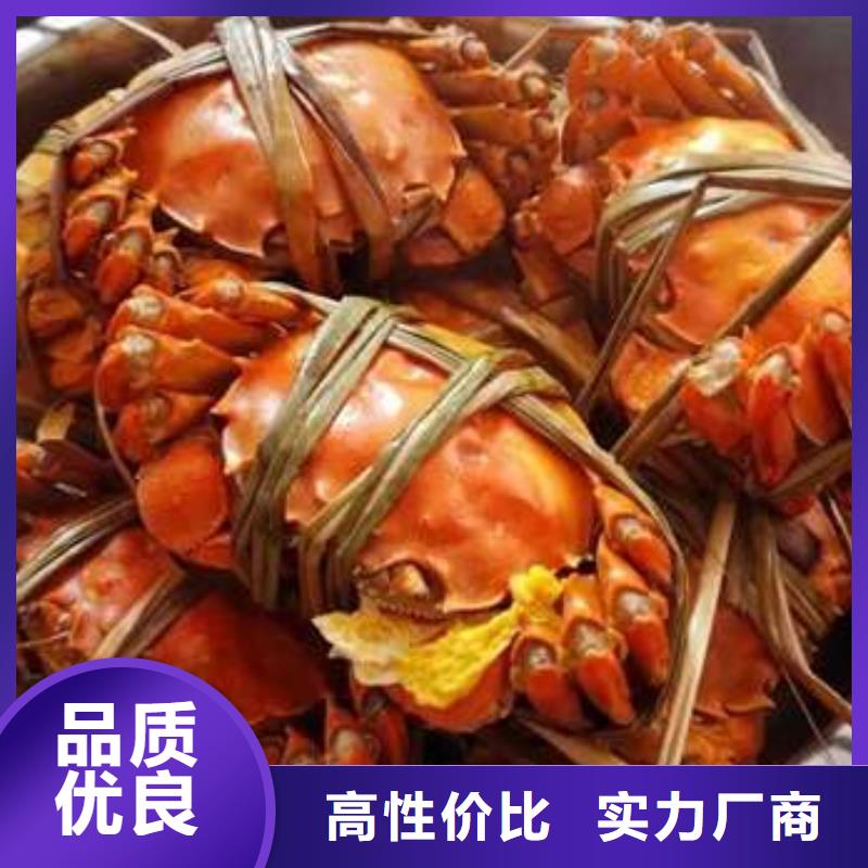 阳澄湖大闸蟹视频-河南省平顶山市|舞钢|汝州|新乡|信阳|洛阳|许昌|周口|濮阳阳澄湖大闸蟹-顾记