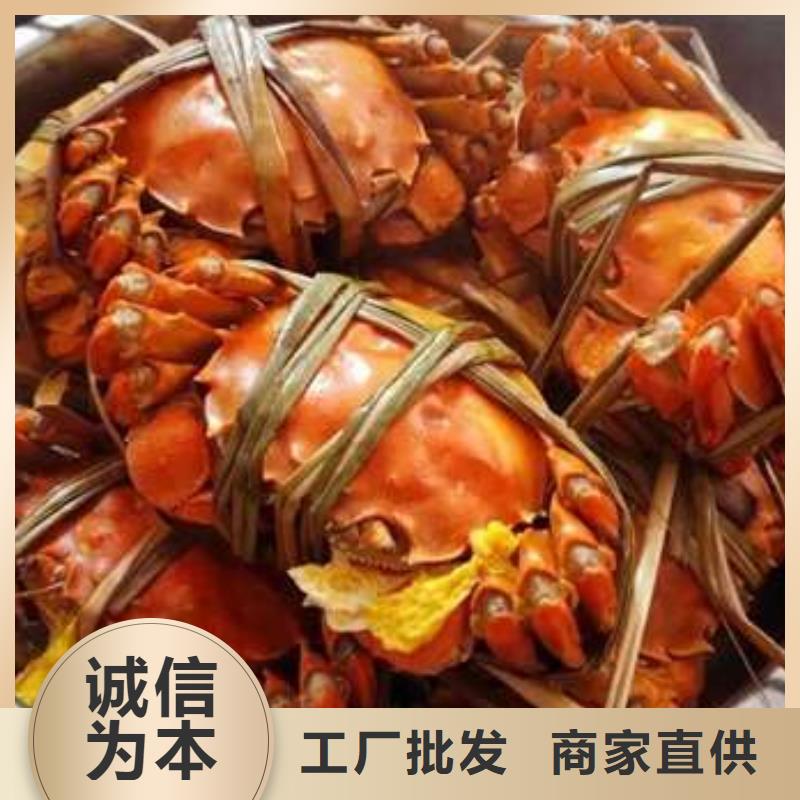 蟹阳澄湖大闸蟹到哪里买品牌专营