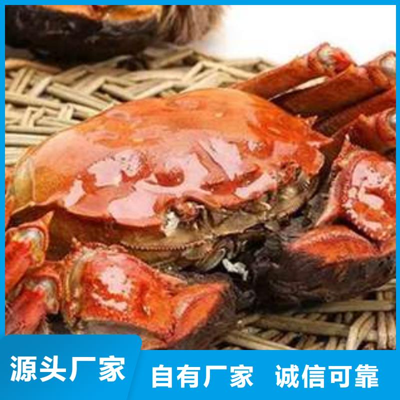 阳澄湖大闸蟹视频-阳澄湖大闸蟹-阳澄湖镇岛顾记大闸蟹经营部(平顶山市分公司)服务区域汝州|卫东|濮阳|信阳|开封|新乡|驻马店|商丘|周口