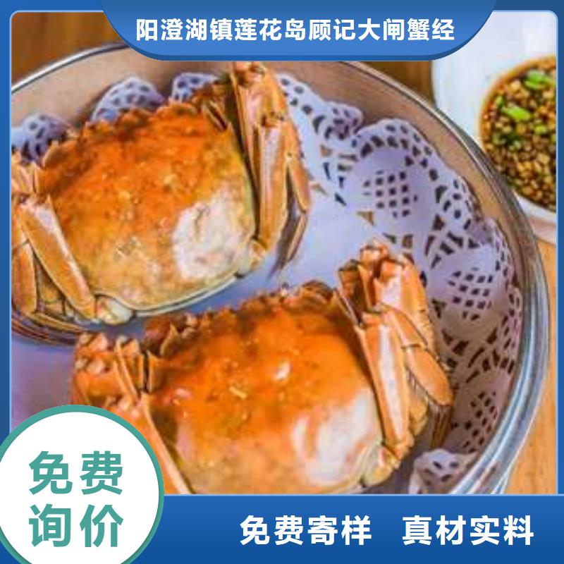 阳澄湖大闸蟹_河南省洛阳市市场覆盖栾川|汝阳|焦作|许昌|平顶山|安阳等