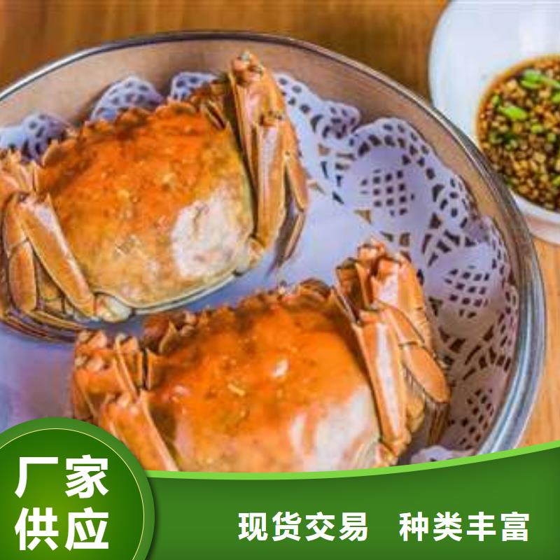 蟹阳澄湖大闸蟹几两吃省心又省钱
