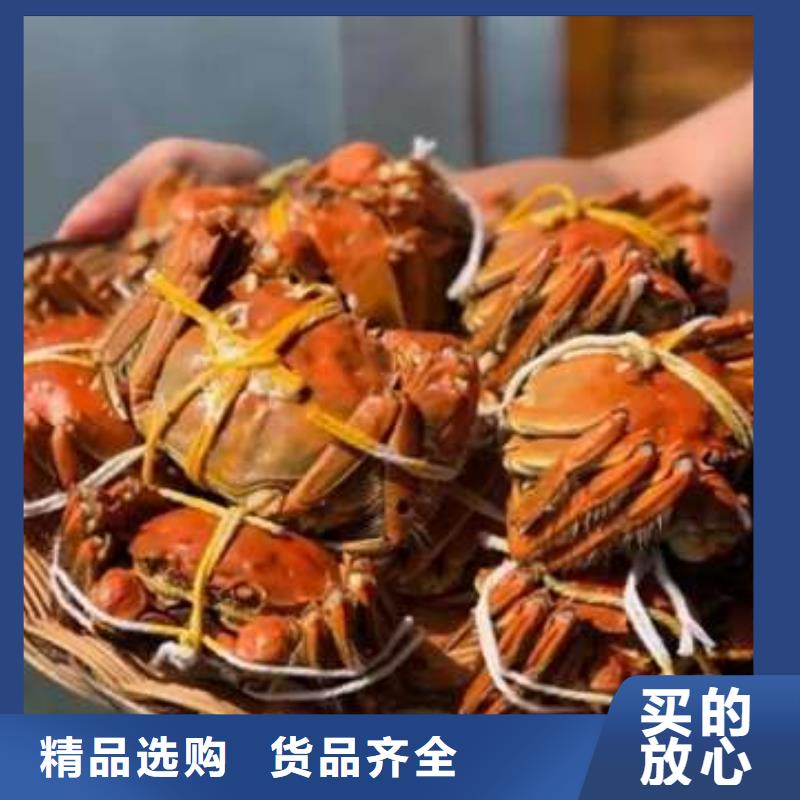 蟹-阳澄湖大闸蟹网购支持货到付清