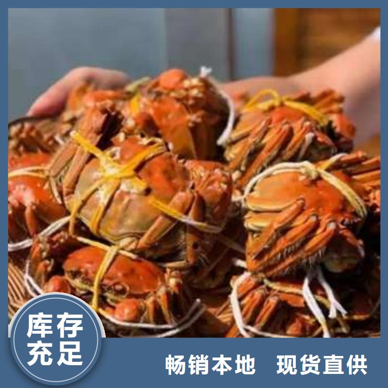 阳澄湖大闸蟹视频-郴州|岳阳|益阳|娄底|怀化|株洲|湘西阳澄湖大闸蟹多种规格可选-阳澄湖镇岛顾记大闸蟹经营部(湖南省分公司)