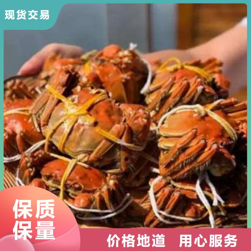 蟹阳澄湖大闸蟹哪个品牌正宗多年行业经验