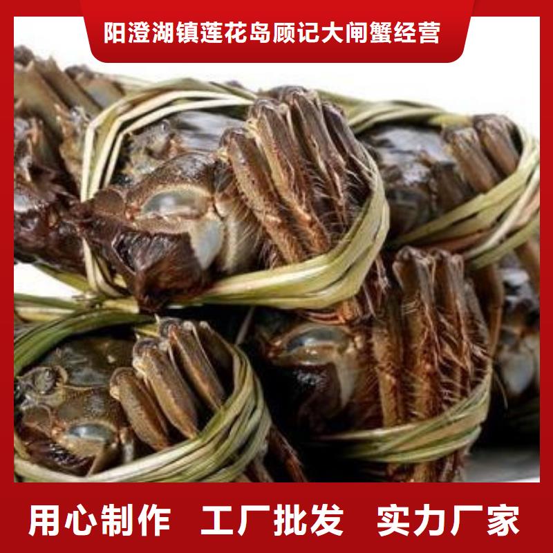 顾记阳澄湖大闸蟹【 螃蟹阳澄湖大闸蟹团购按需定制真材实料】cg39.com
