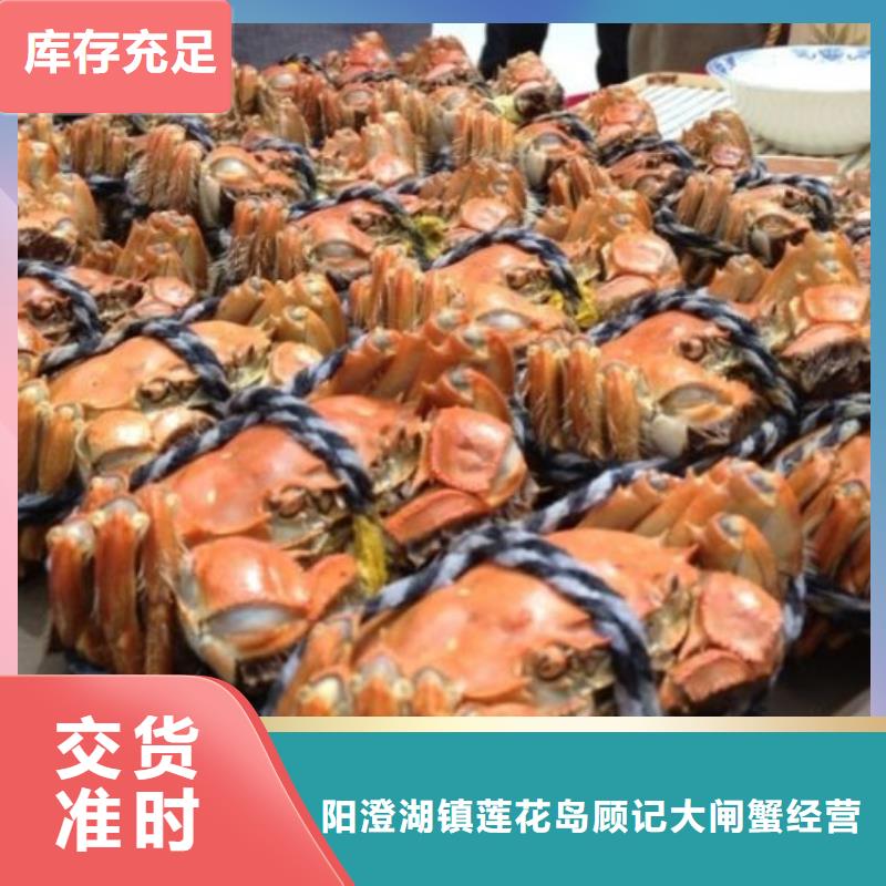 顾记阳澄湖大闸蟹【 螃蟹阳澄湖大闸蟹团购按需定制真材实料】cg39.com
