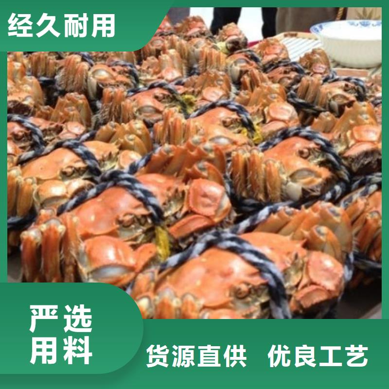 阳澄湖大闸蟹视频-阳澄湖大闸蟹-甘肃省平凉市【当地】厂家-泾川|静宁|甘南|武威|陇南|嘉峪关|临夏|张掖|金昌